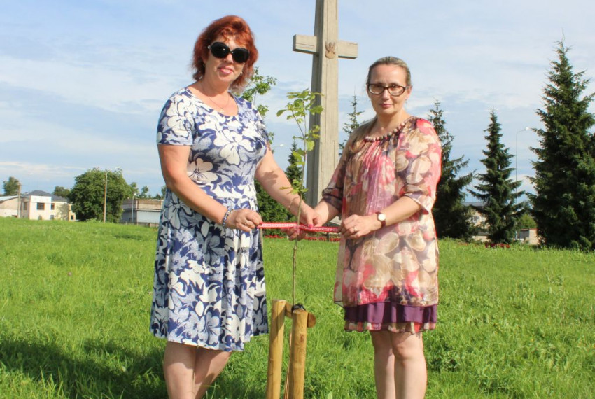 Расці, беларускі дубок!